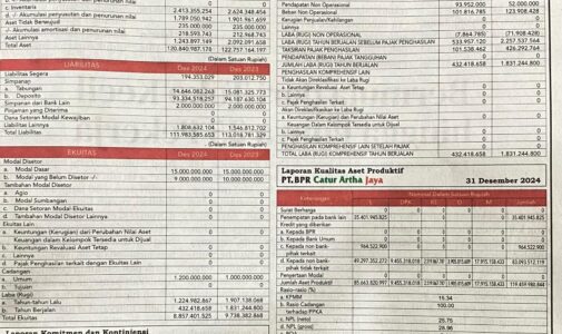 LAPORAN PUBLIKASI TRIWULAN IV 2024